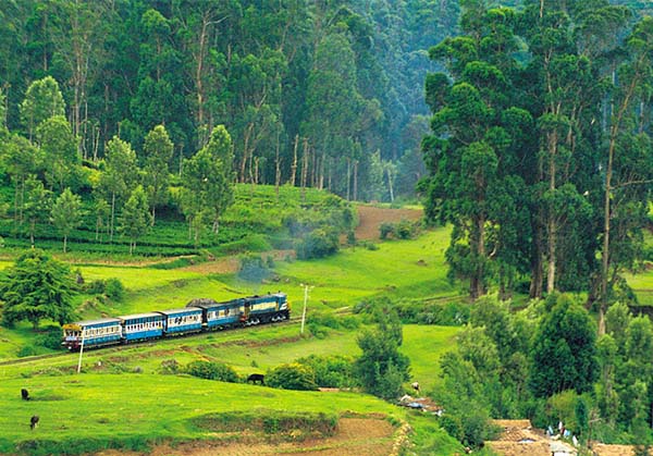 Ooty