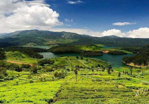 Ooty