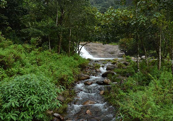 Valparai